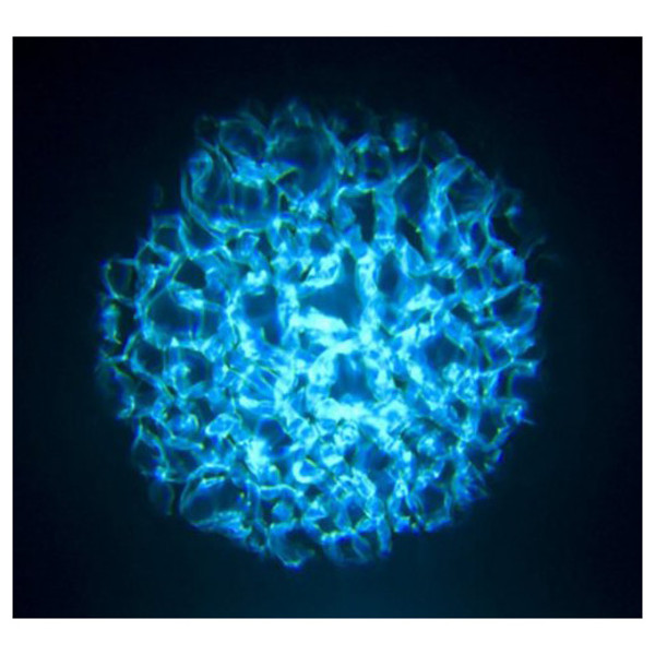 ADJ H2O IR LED Flowing Water Effect