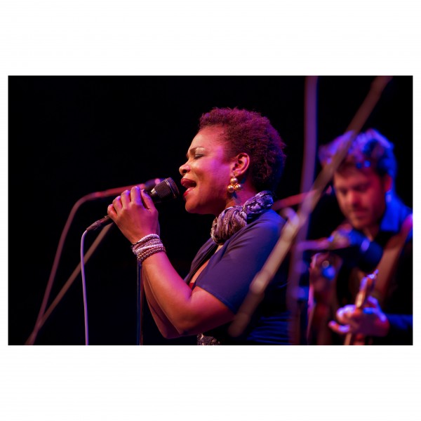 Electro-Voice ND96 Dynamic Supercardioid Vocal Microphone