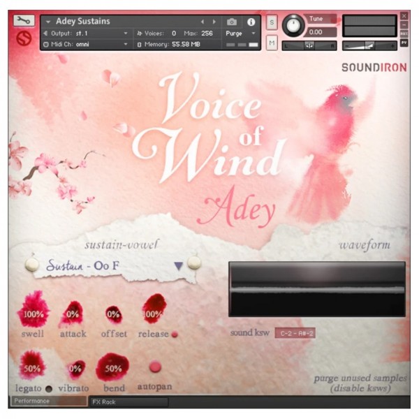 SoundIron Voice of Wind: Adey
