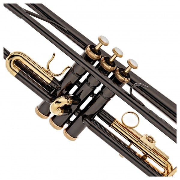 Roy Benson TR101K Trumpet, Black and Gold