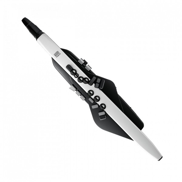 Roland Aerophone AE-20 Digital Wind Instrument with Headphones