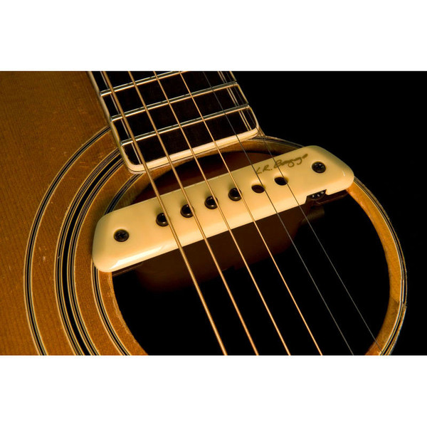 L.R. Baggs M1 Active Magnetic Soundhole Pickup