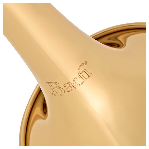 Bach TR501 Trumpet, Lacquer