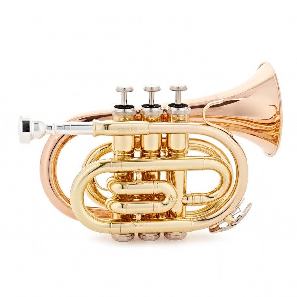 Roy Benson PT101G Pocket Trumpet, Gold Brass Bell