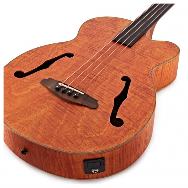Aria FEB F2/FL Acoustic Bass, Flame Nato Natural