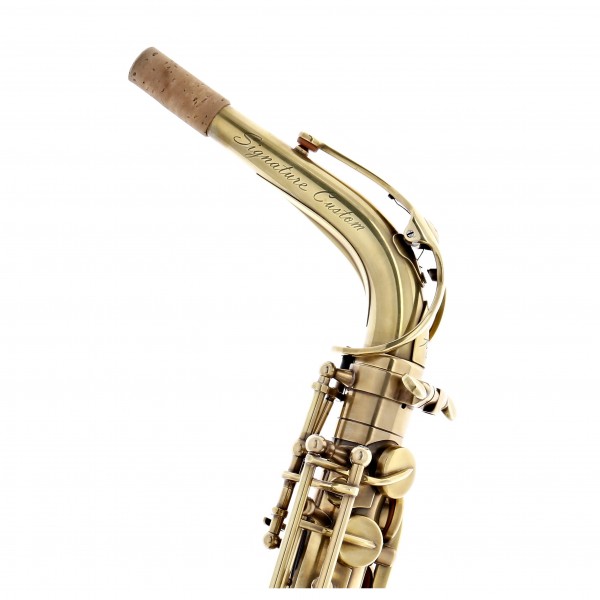 Trevor James Signature Custom Alto Saxophone, RAW XS - Ex Demo