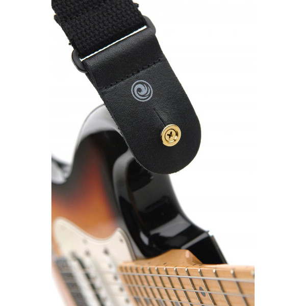 Planet Waves Solid Brass End Pins, Brass (Pair)