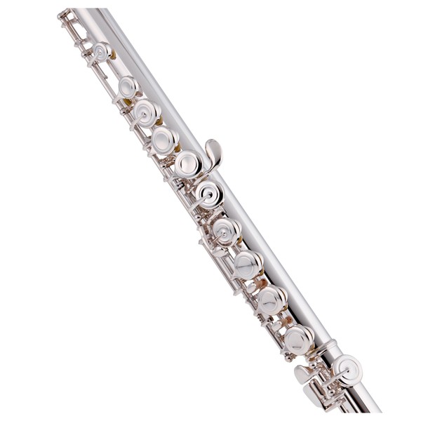 Trevor James Privilege Flute, Traditional Silver Lip Plate