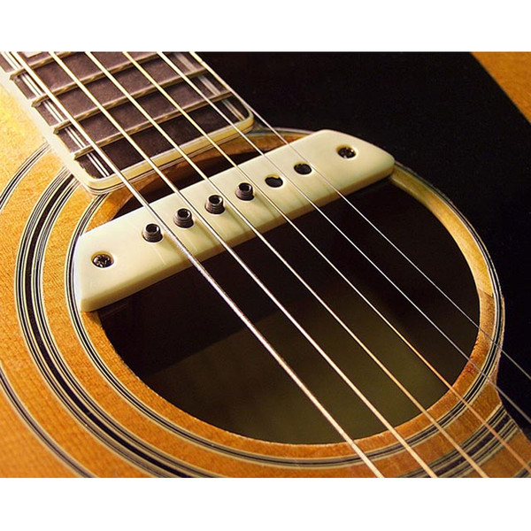 L.R. Baggs M1 Magnetic Soundhole Pickup