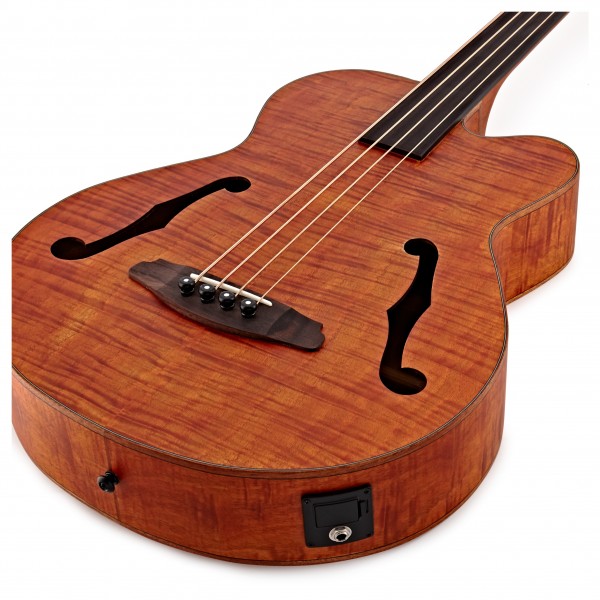 Aria FEB-F2M/FL Medium Scale Fretless Bass, Stained Brown