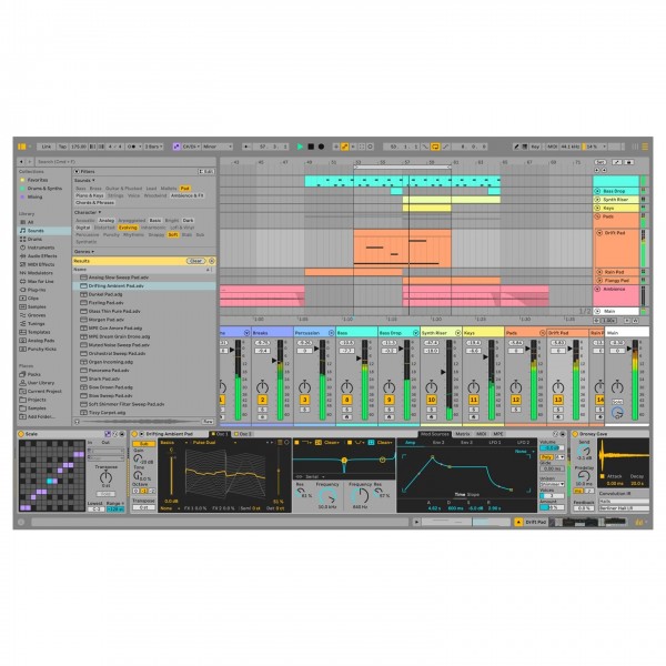 Ableton Live 12 Intro