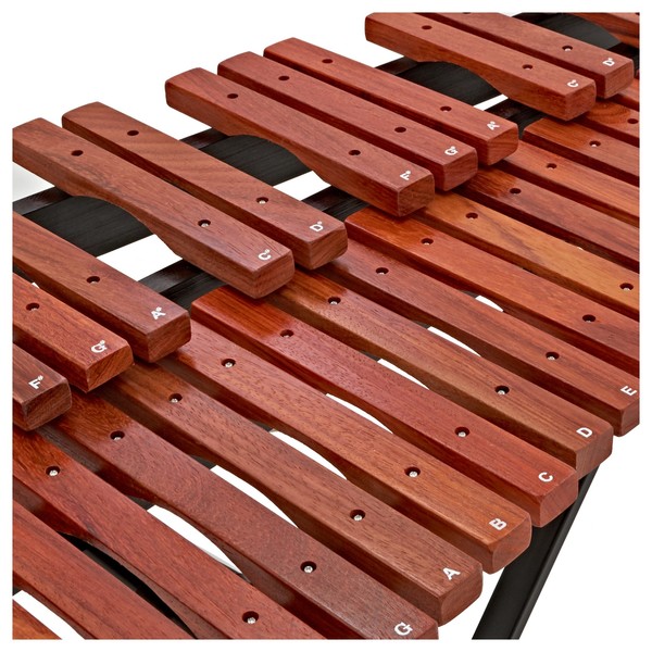 Xylophone by Gear4music, 3 Octaves