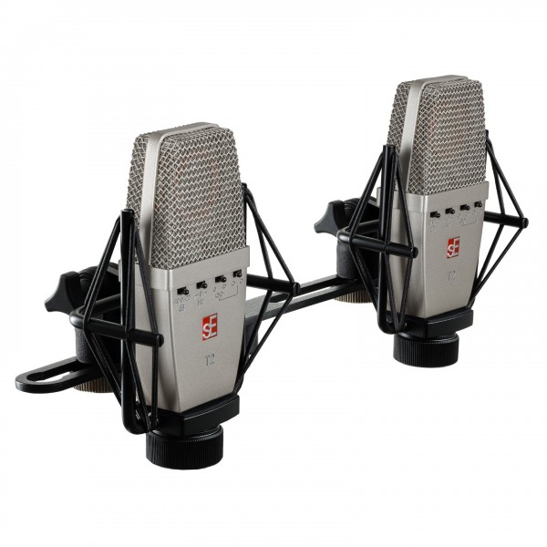 sE Electronics T2 (P) Microphone, Matched Pair