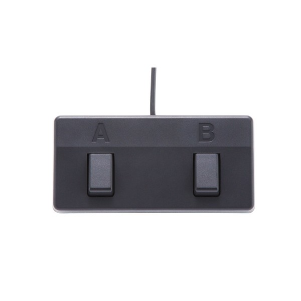 Boss Acoustic Singer Pro Amplifier