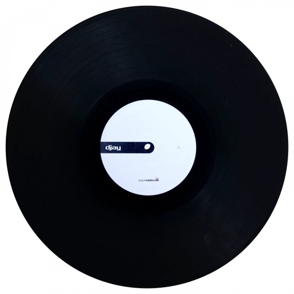 Stokyo Algoriddim djay PRO AI 12" Control Vinyl