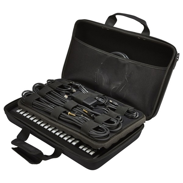 Pioneer DJC-TSP16 Sampler Bag for TSP-16