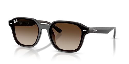 Ray-Ban Transparent Dark Brown Gradient Brown 0RB4458D-7141365