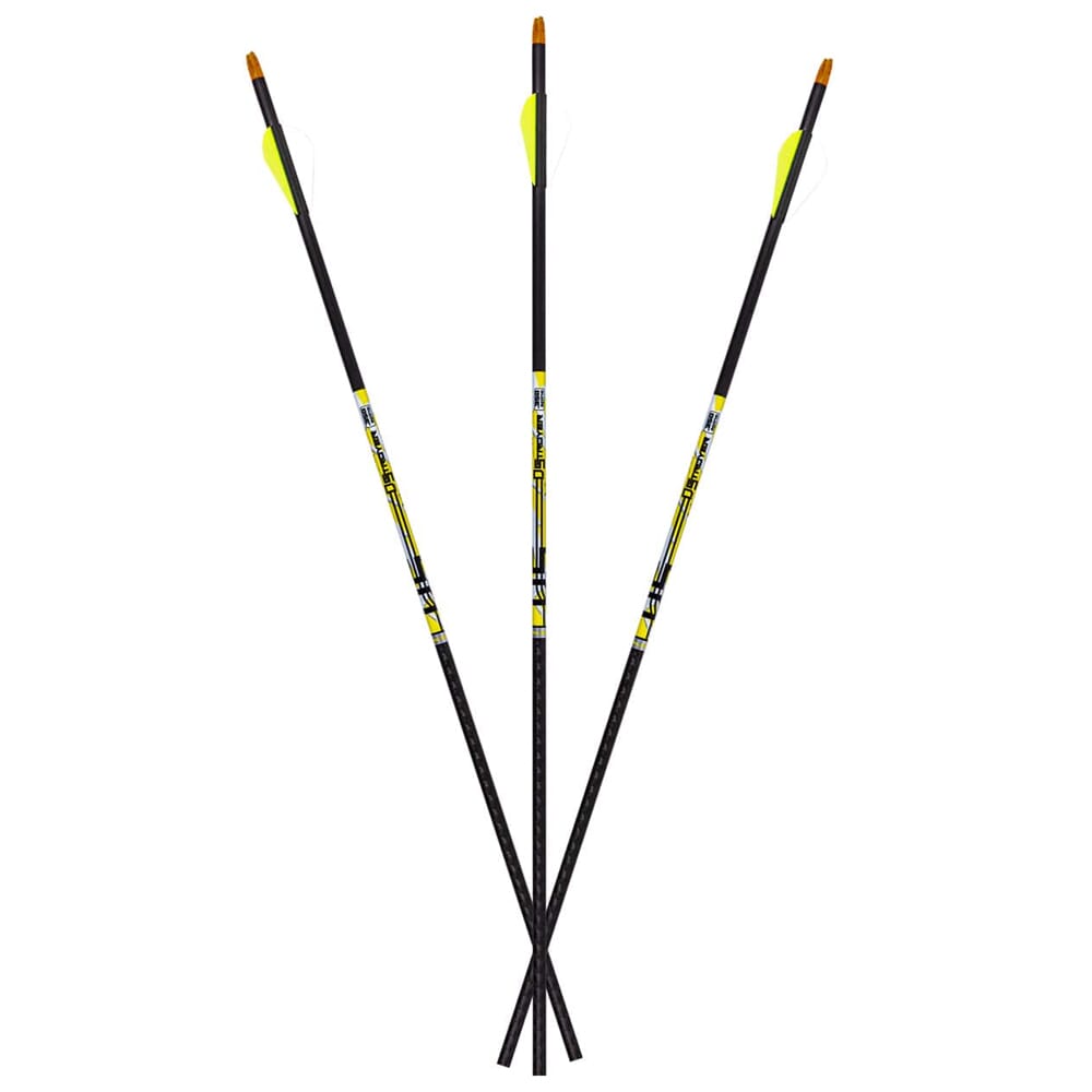 Carbon Express D-Stroyer .500 Arrows 6pk 51161