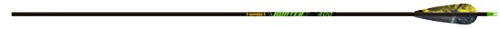Gold Tip Hunter XT 500 Arrow w/4" Feathers 6pk HXT500F6
