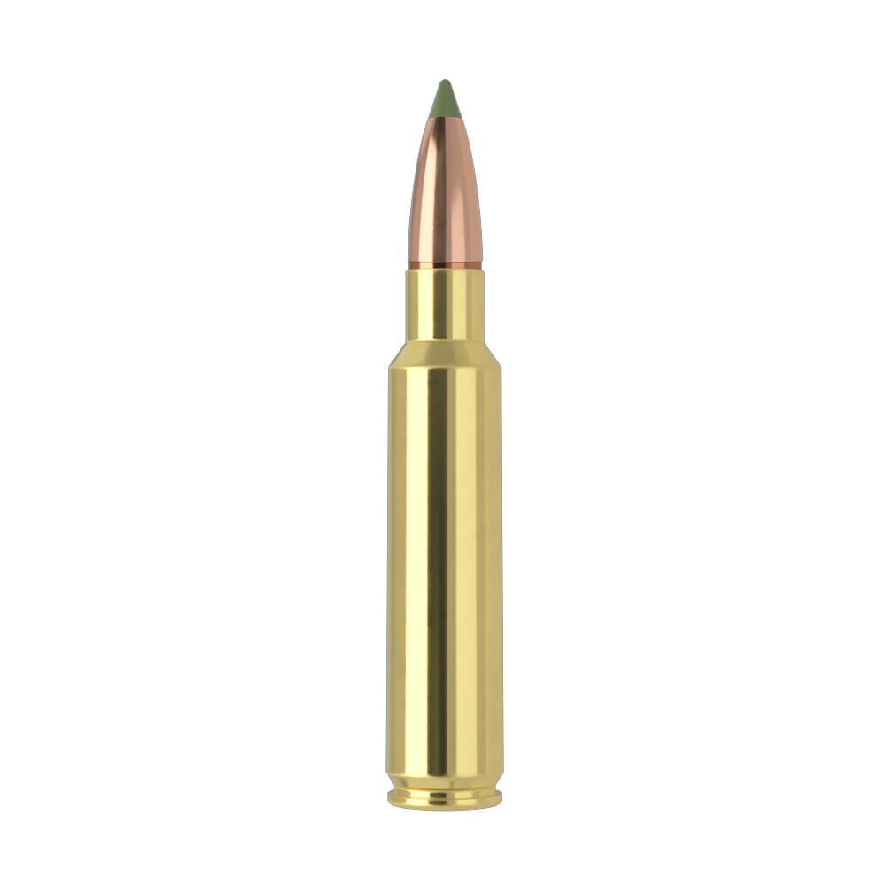 Nosler E-Tip ETA-33 Nosler 225g ET SP (20ct) Ammunition 40042