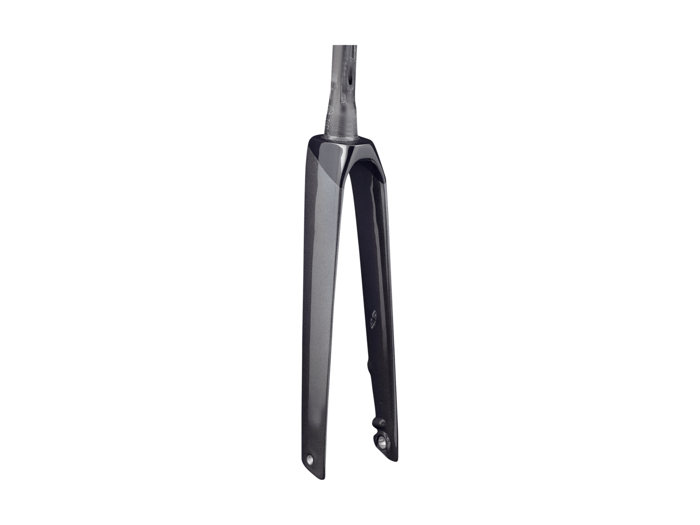 Trek 2021 Madone SLR Forks