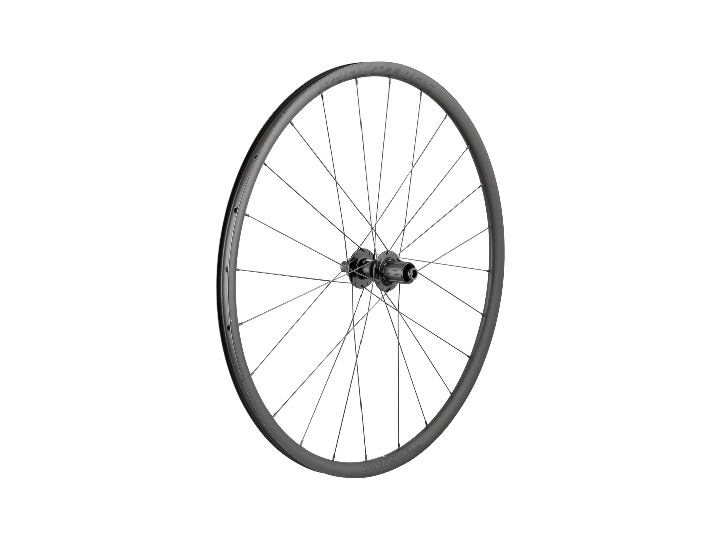 Bontrager Paradigm SL Centerlock Disc 24H Silver Nipples 700c Road Wheel