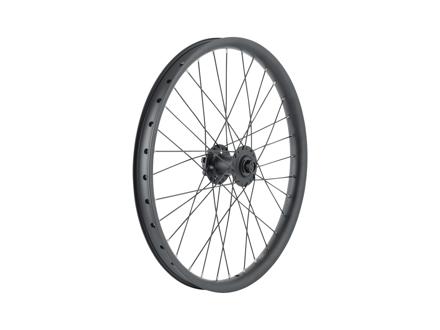 Trek Cargo Bike 6-Bolt Disc 20˝ Wheel