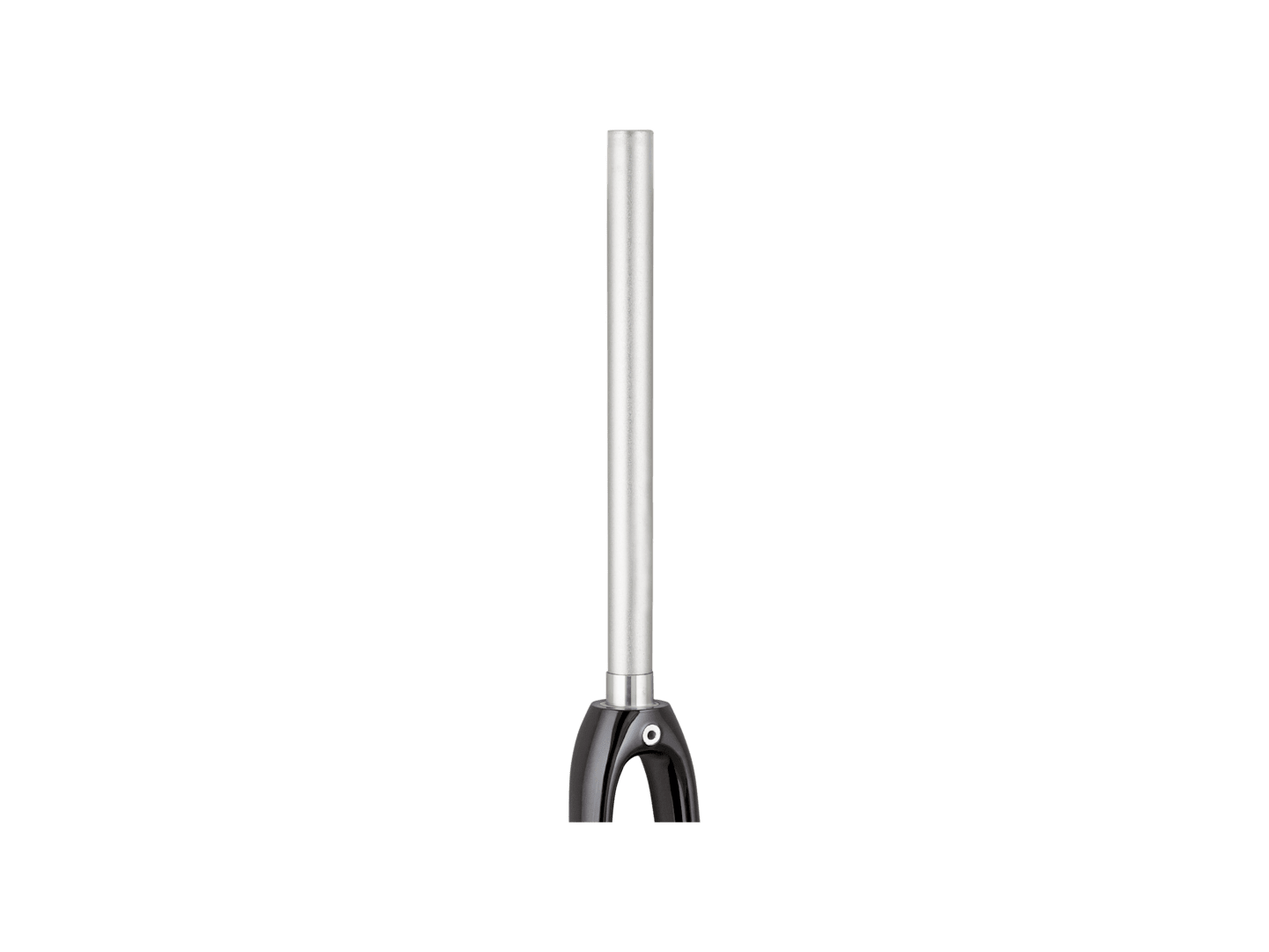 Trek 2021 Domane AL 2 700c Rigid Forks