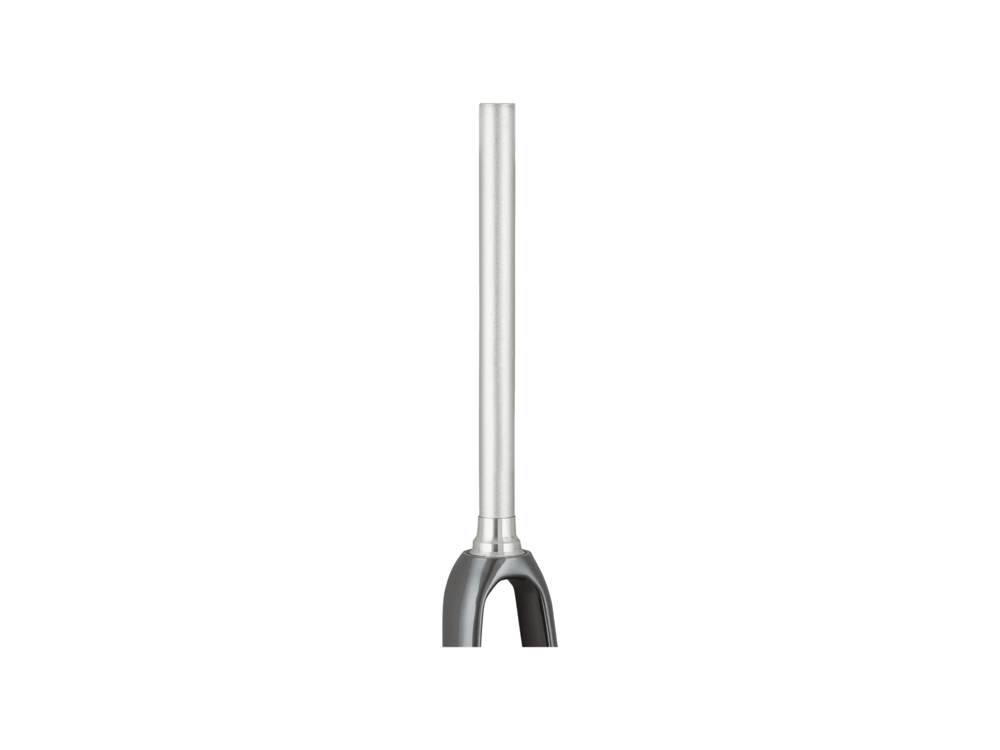 Trek 2021 Domane AL 5 700c Disc Rigid Forks