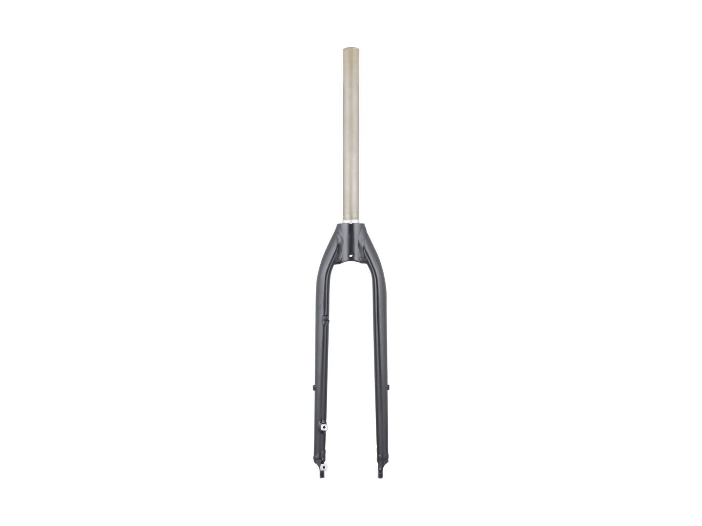 Trek Verve+ 3 700c Rigid Forks