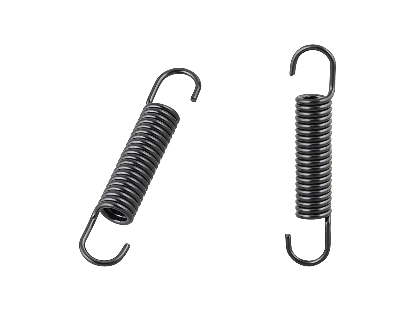 Trek Fetch+ 4 Kickstand Spring Set