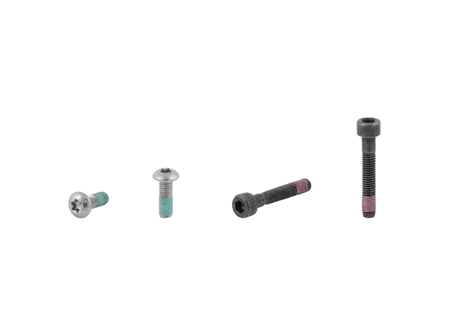Electra Townie Go! 5i Rack Bolt Set