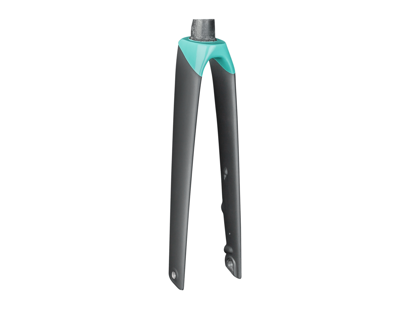 Trek Madone SLR Women's 700c Disc Rigid Forks