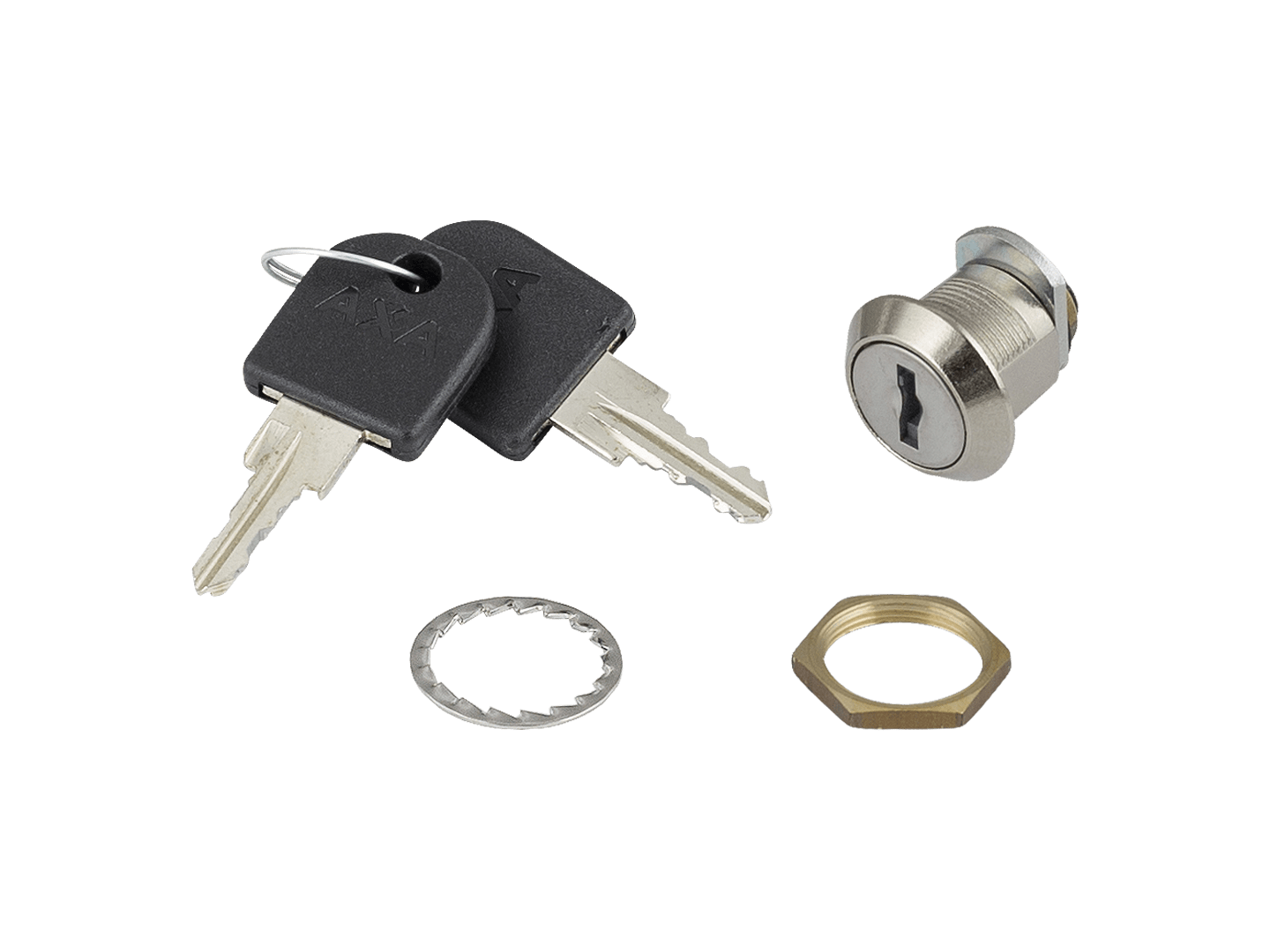 AXA Bosch Smart System In-Tube Battery Lock