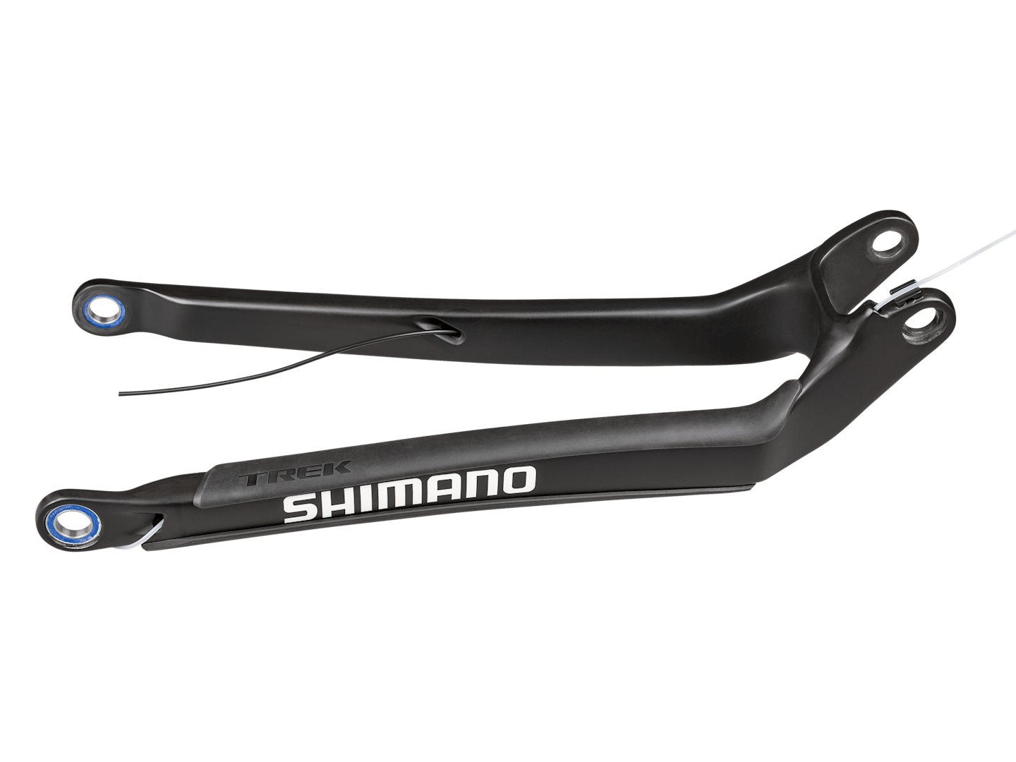 Trek 2018-2021 Session 29 Carbon Chainstay