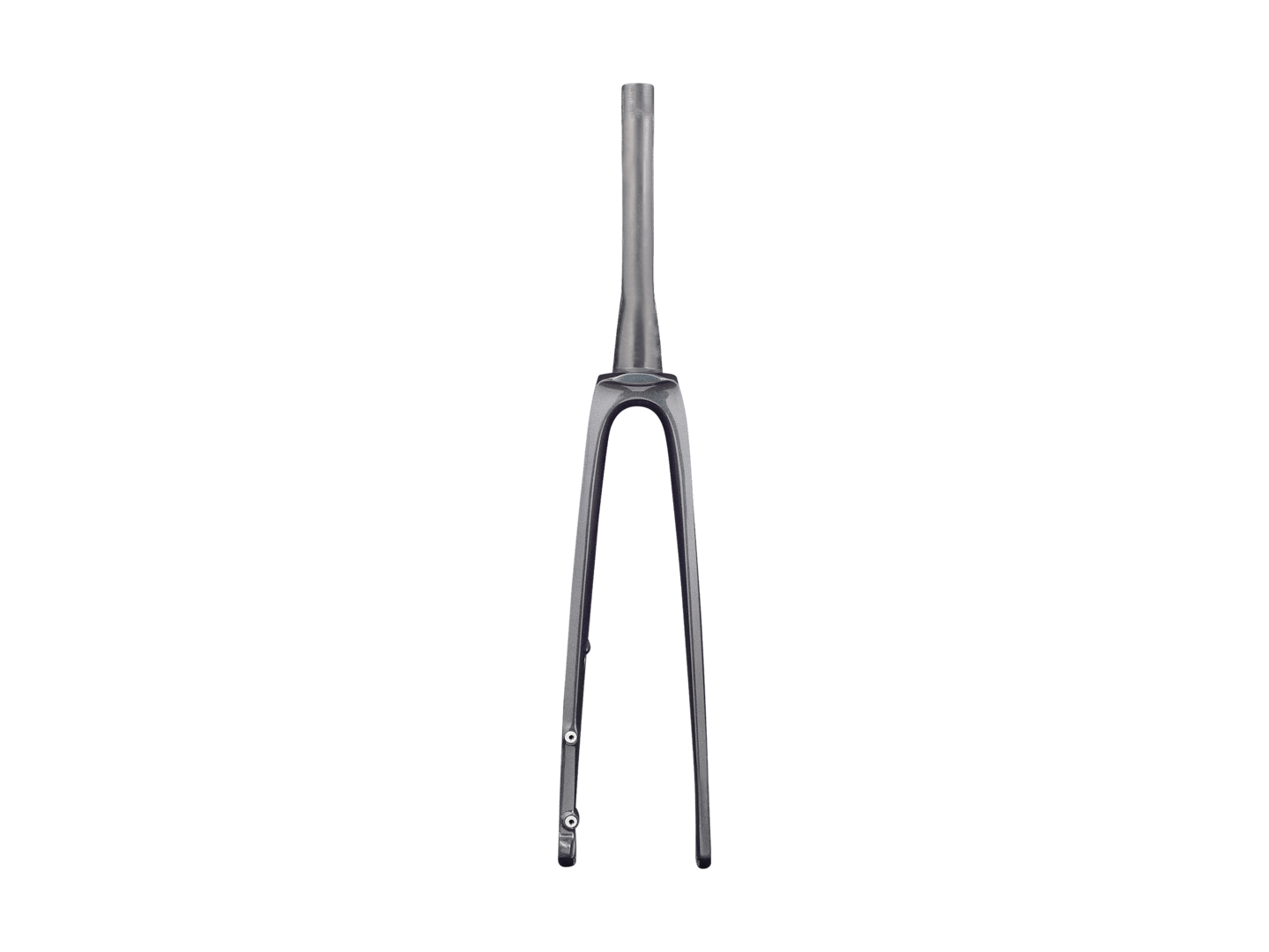 Trek 2021 Madone SLR Forks