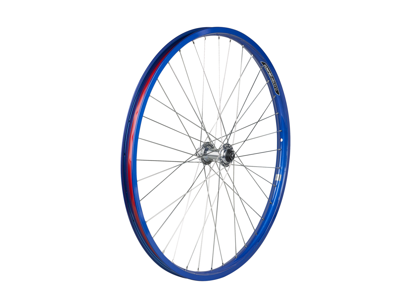 Electra Townie Go! 8i Centerlock Disc 26˝ Wheel