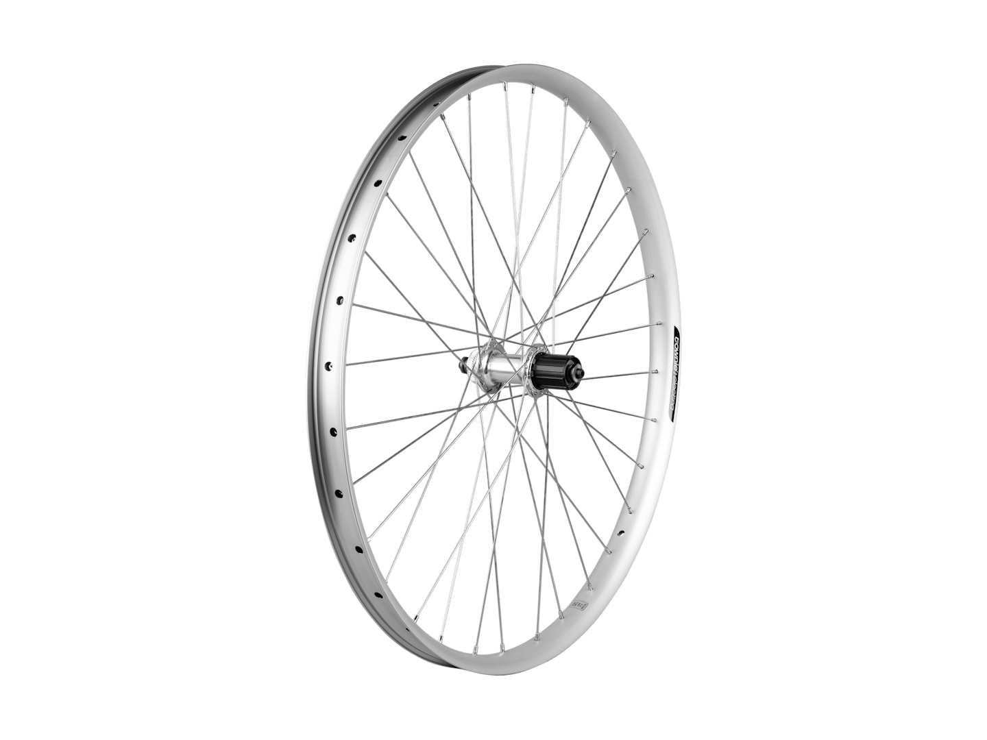 Electra Townie Path 9D EQ Centerlock Disc 27.5˝ Wheel