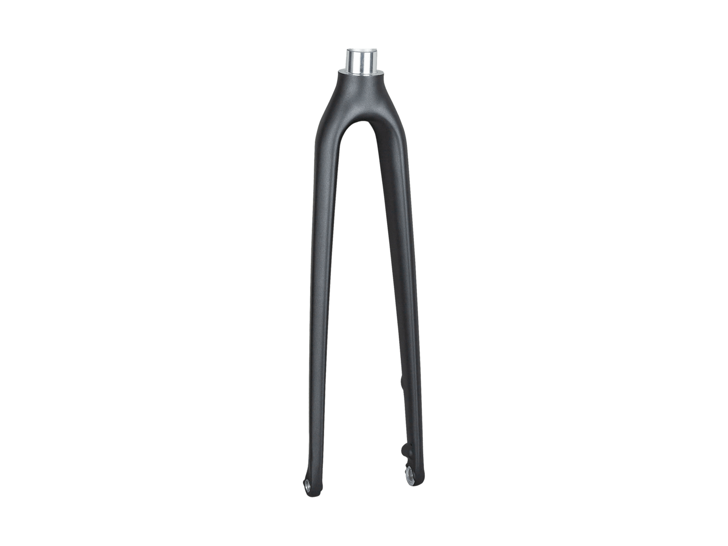 Trek FX Sport 5 Disc 700c Rigid Forks