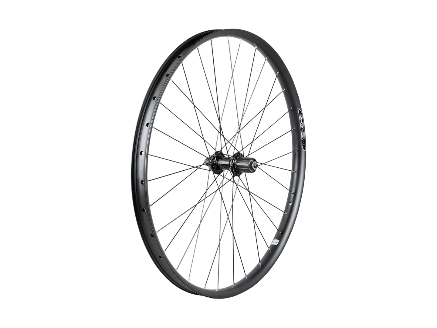 Electra Townie Path 9D EQ Centerlock Disc 27.5˝ Wheel