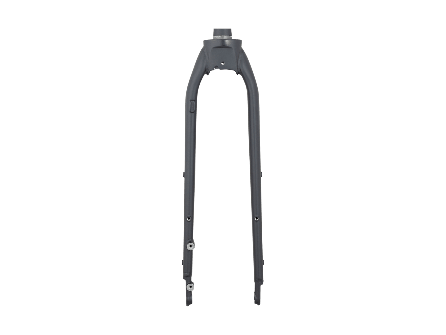 Trek Dual Sport 1 Thru-Axle 29˝ Rigid Fork