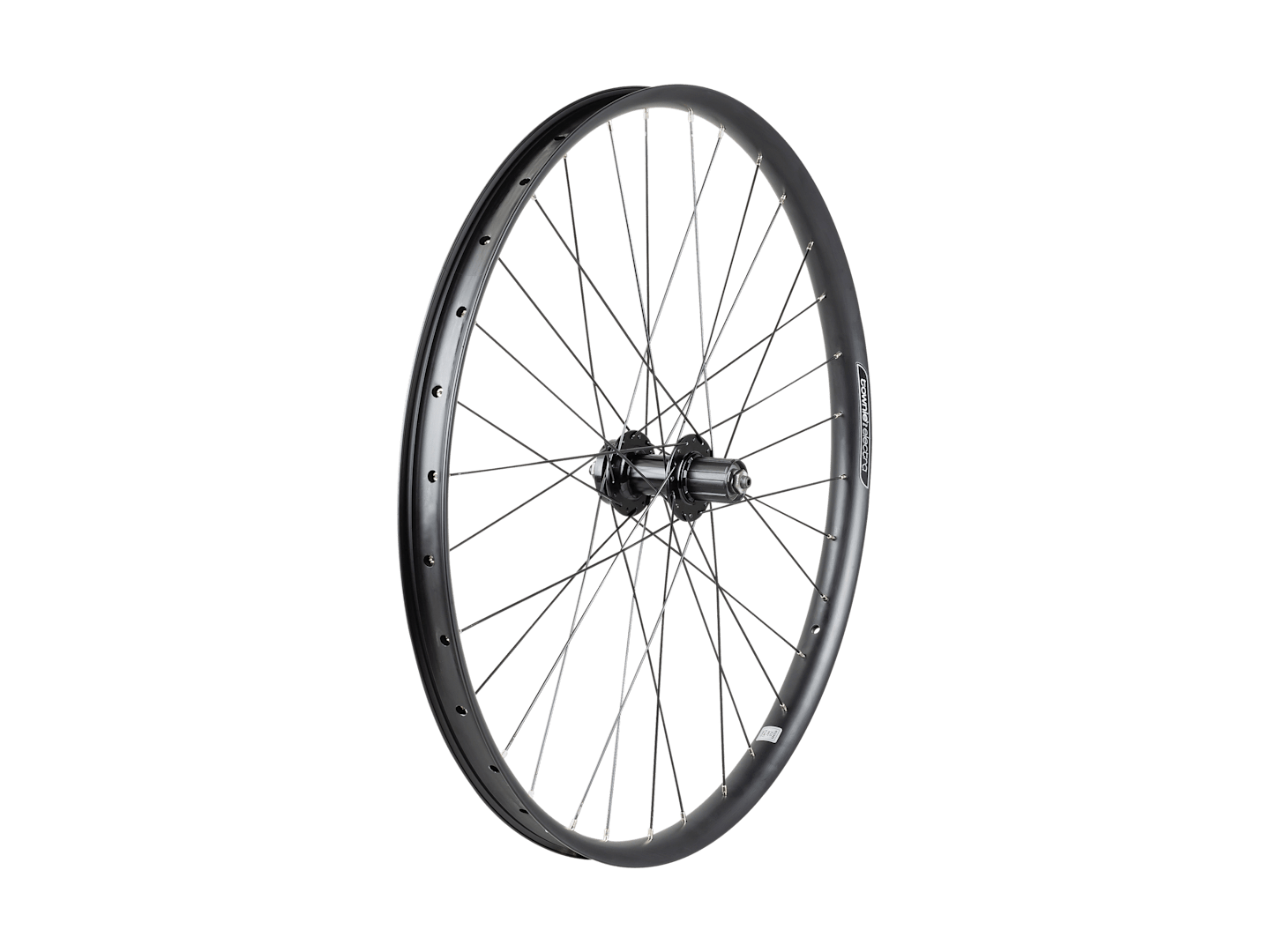 Electra Townie Path 6-Bolt Disc 27.5˝ Wheel