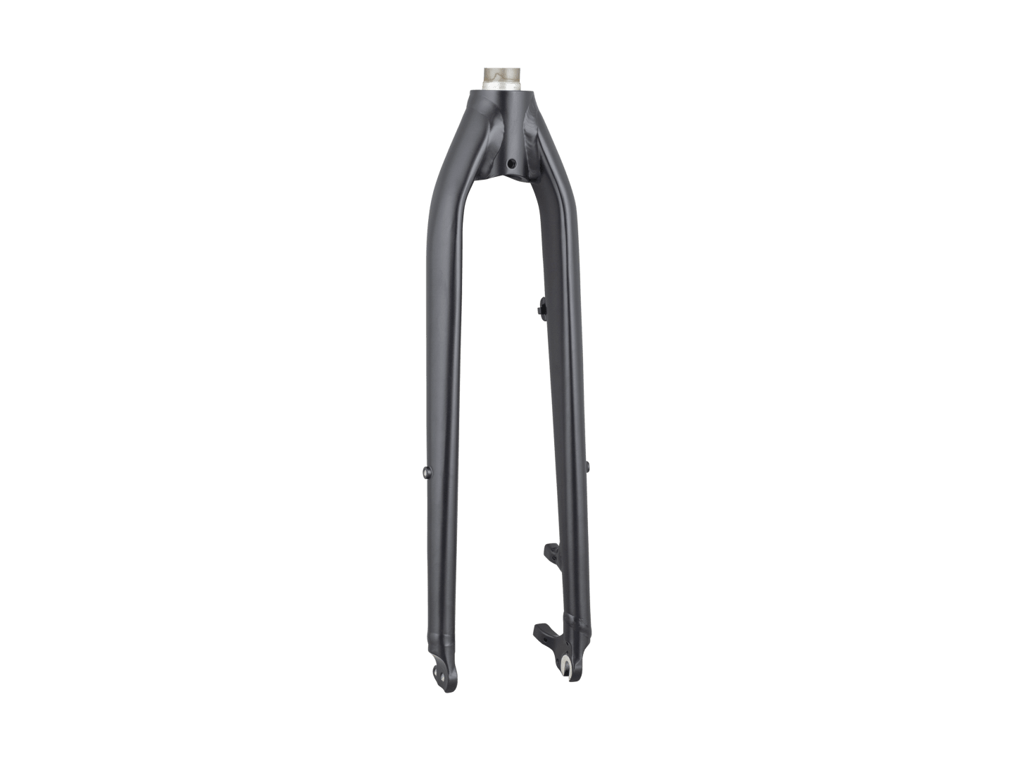 Trek Verve+ 3 700c Rigid Forks
