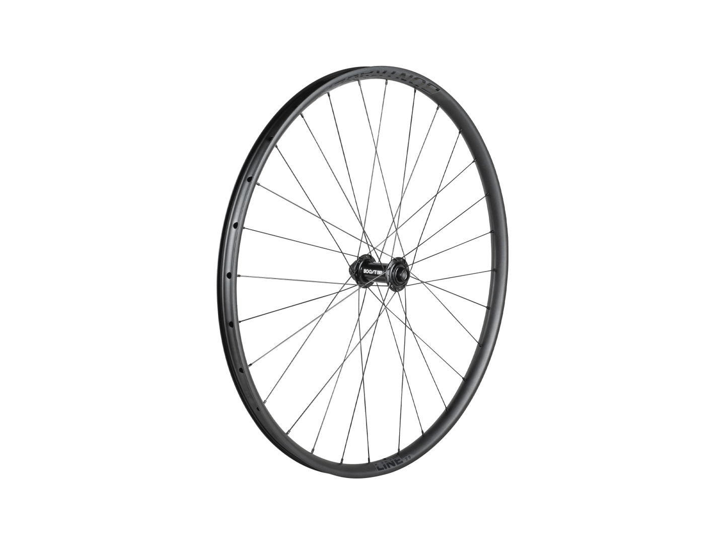 Bontrager Line 30 Centerlock TLR Boost 29˝ MTB Wheel