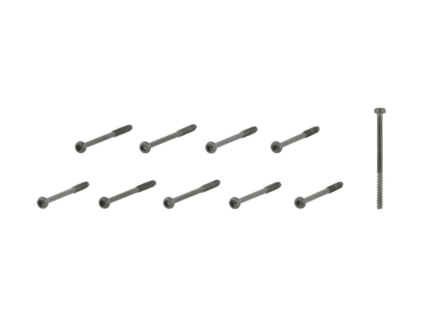 Trek-Diamant Motor Cover Screw