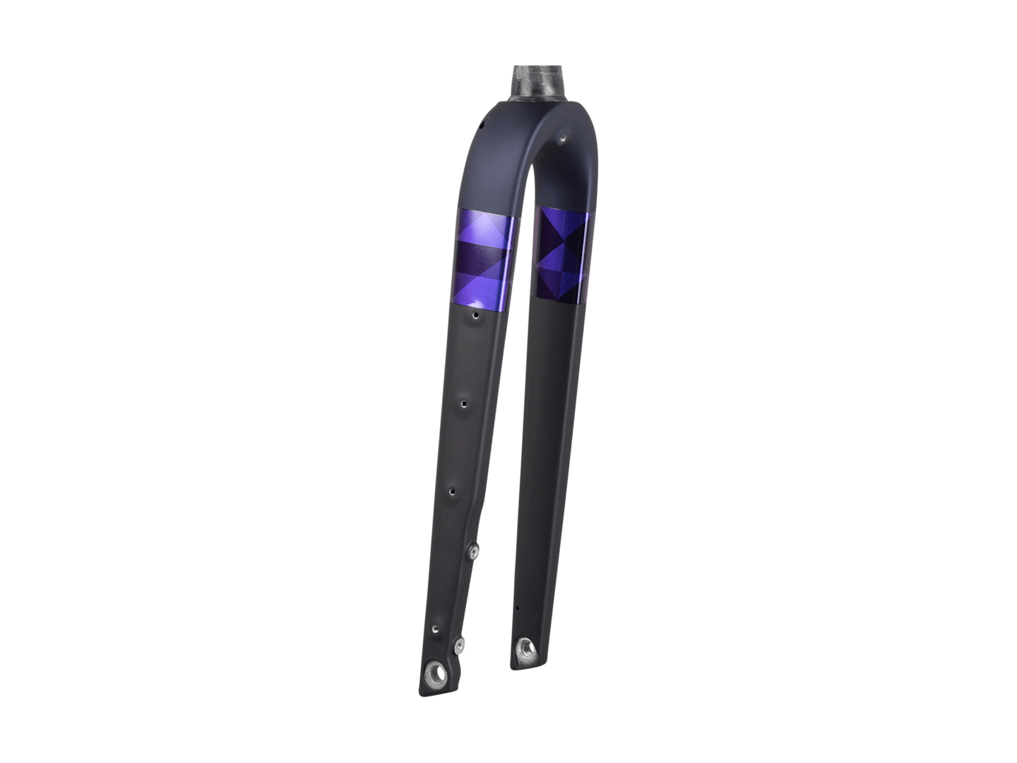 Trek Checkpoint ALR 700c Rigid Fork