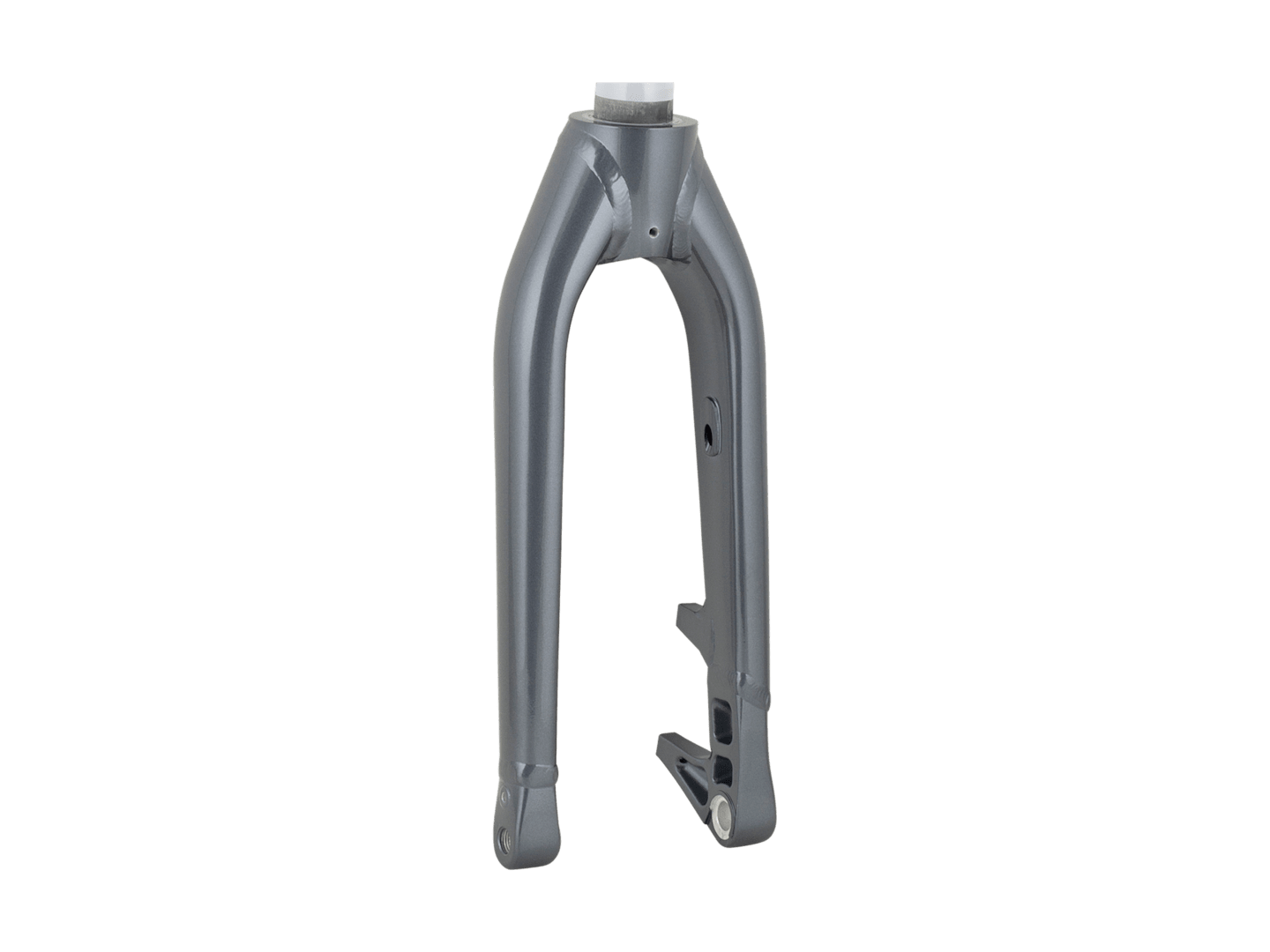 Trek Fetch+ 2 20˝ Rigid Fork