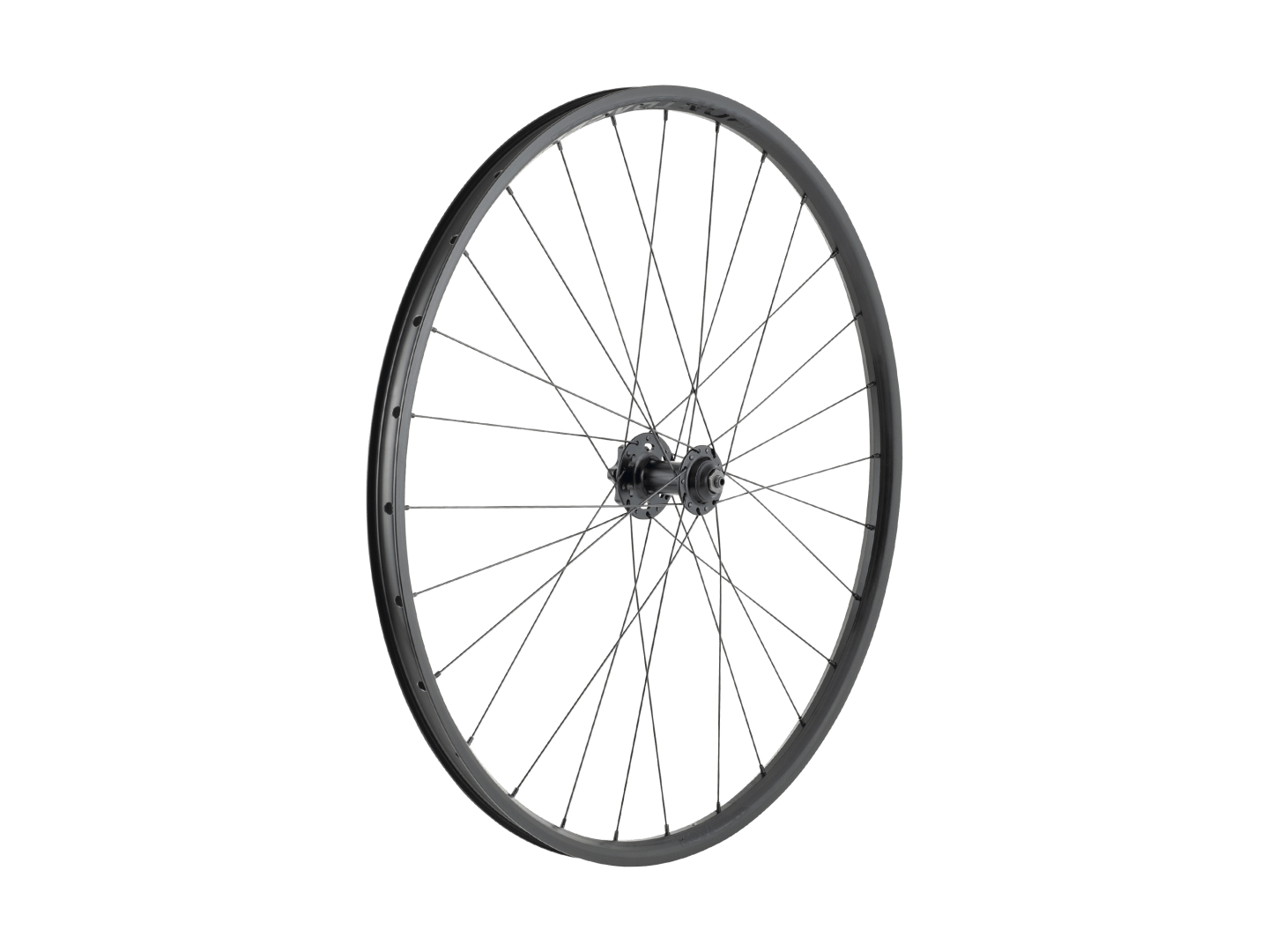 Trek Kovee 25 TLR 28H 29˝ 6-Bolt Disc MTB Wheel