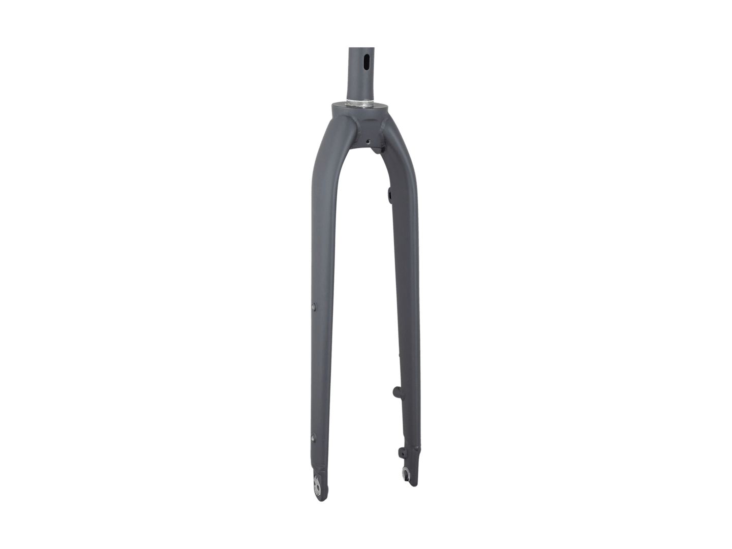 Trek Dual Sport 1 Thru-Axle 29˝ Rigid Fork