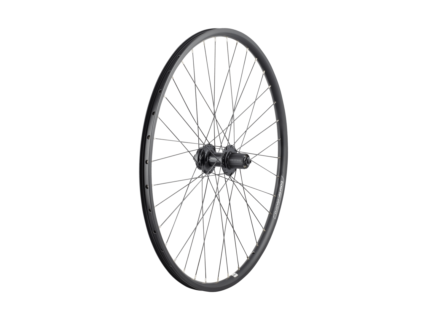 Electra Townie Go! 8D 26'˝' Wheel